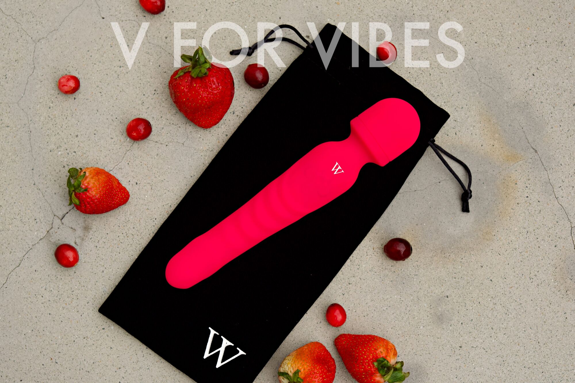 Celebrate National Sex Toy Day with V For Vibes V For Vibes