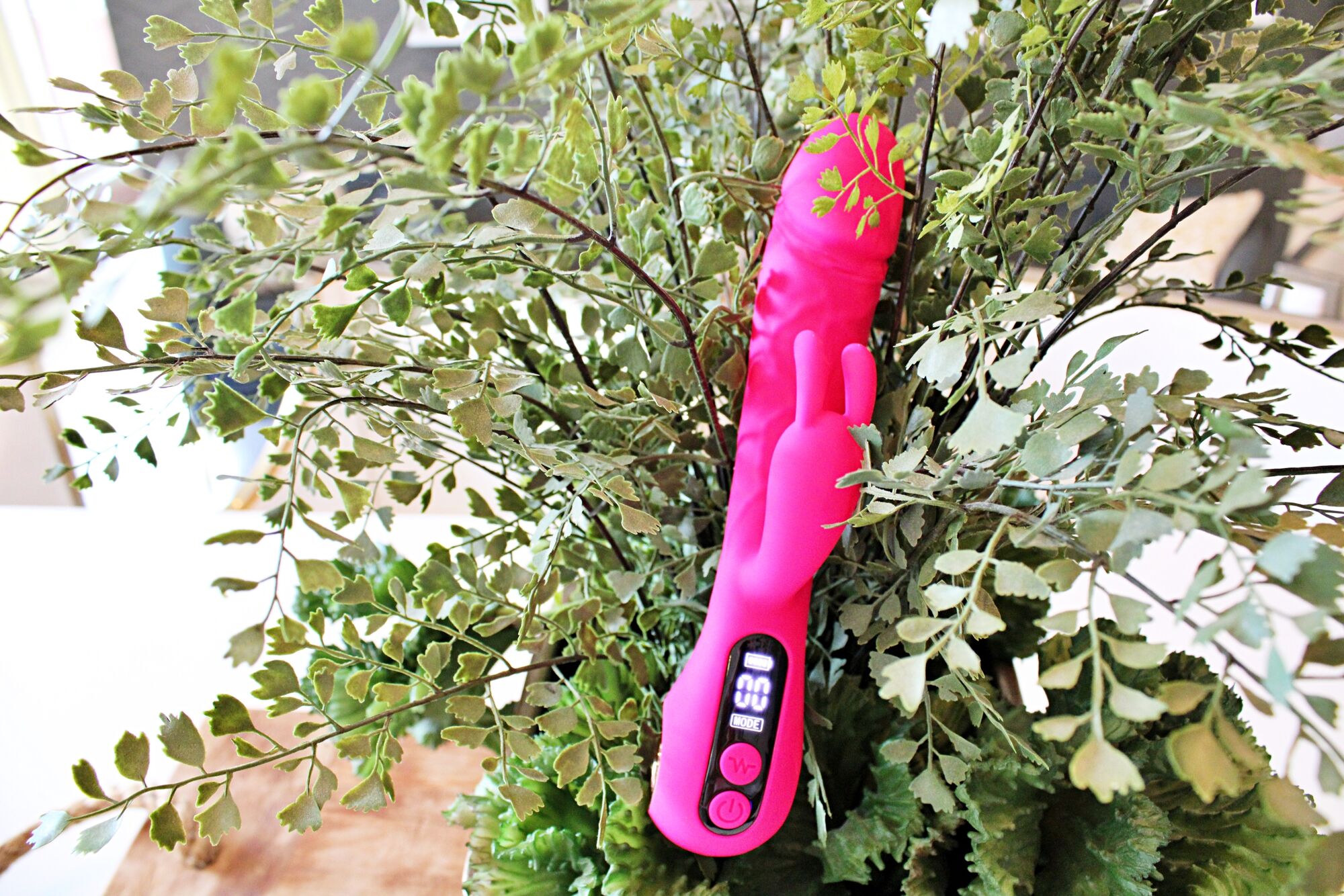 V For Vibes Sex Toys